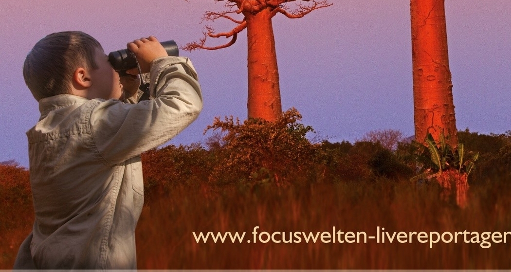 Madagaskar – Alles auf Anfang (gdl_912449263_image)