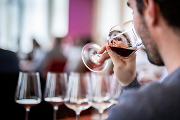 Faszination Pinot Noir (gdl_912631971_image)