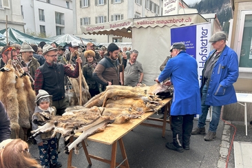 26. Bündner Fellmarkt (gdl_912738555_image)