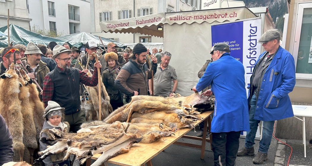 26. Bündner Fellmarkt (gdl_912738555_image)