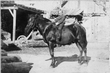 Geschichte(n) sichtbar machen – Kulturerbe digital erzählen (gdl_912748667_image)