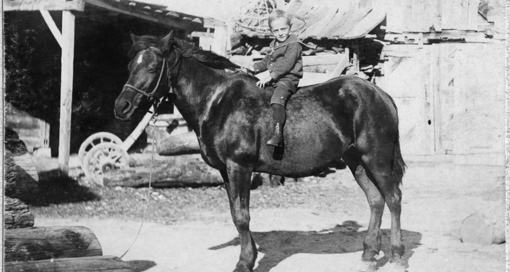 Geschichte(n) sichtbar machen – Kulturerbe digital erzählen (gdl_912748667_image)