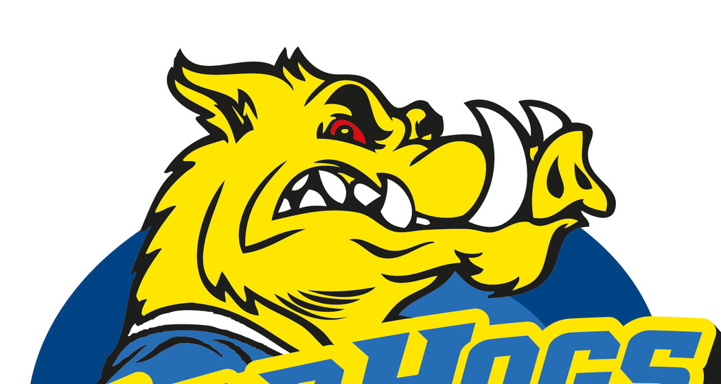 1. Playoffspiel Wild Hogs Hockey Club Arosa (gdl_912794594_image)