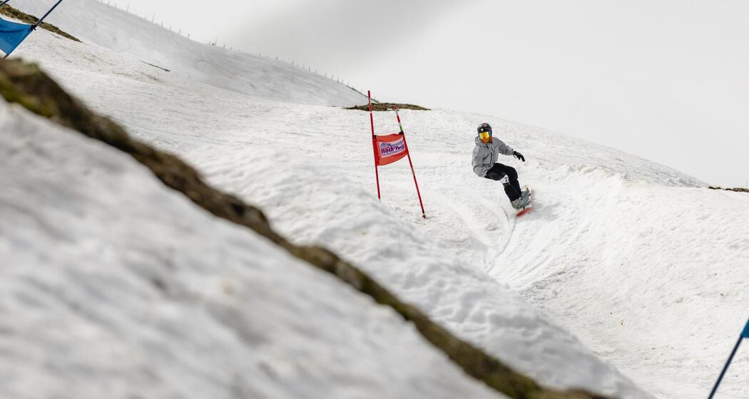 MurmeliRun (gdl_912956179_image)