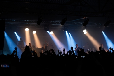 Airport Festival (gdl_913209270_image)