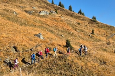 Wanderung für Seniorinnen und Senioren (gdl_913223158_image)