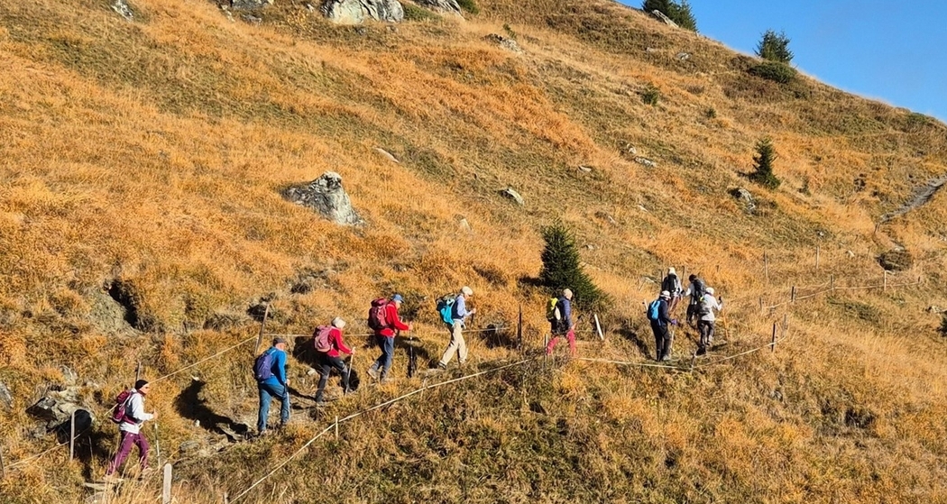 Wanderung für Seniorinnen und Senioren (gdl_913223158_image)