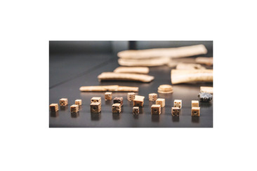 Führung im Archäologischen Archiv zu Auffahrt (gdl_913436492_image)