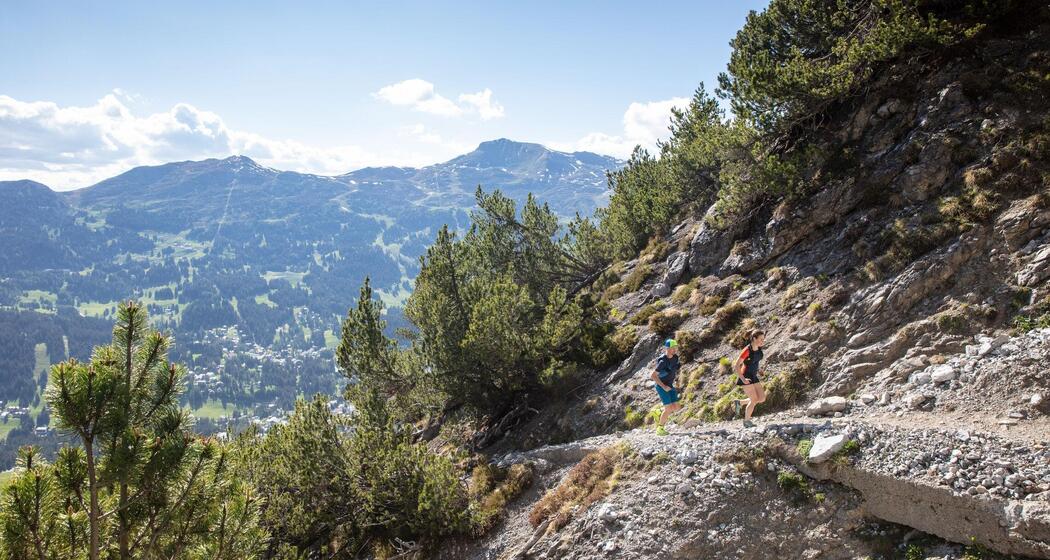 Transalpine Run 2026 (gdl_913463077_image)