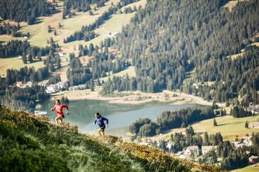 Transalpine Run 2026 (gdl_913463098_image)