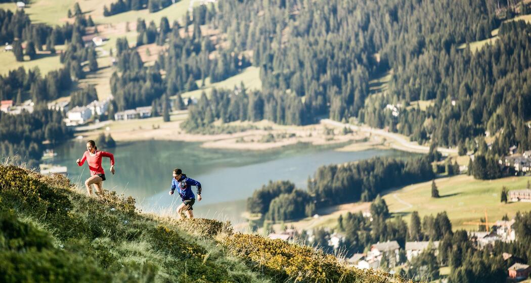 Transalpine Run 2026 (gdl_913463098_image)