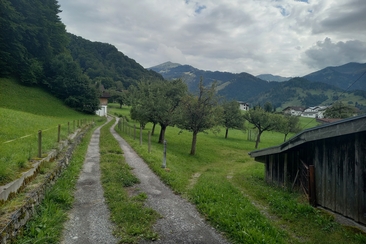Talwanderung im Prättigau (gdl_913576288_image)