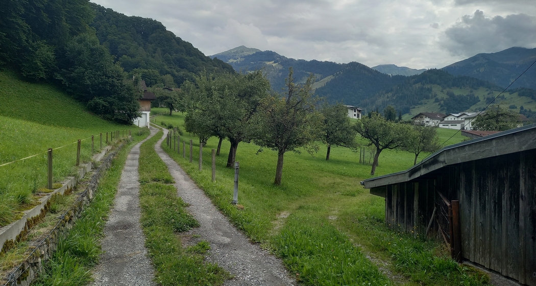 Talwanderung im Prättigau (gdl_913576288_image)
