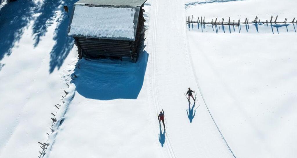 Langlaufrennen Skiclub Arosa - öffentlich (gdl_913615996_image)