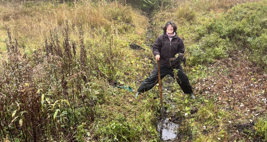 Mooreinsatz: Frühlingsputz im Riedbodamoor auf Brambrüesch (gdl_913708956_image)