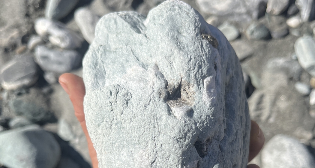 Exkursion Rheinschlucht: Nicht alles was glänzt ist Gold (gdl_913925416_image)