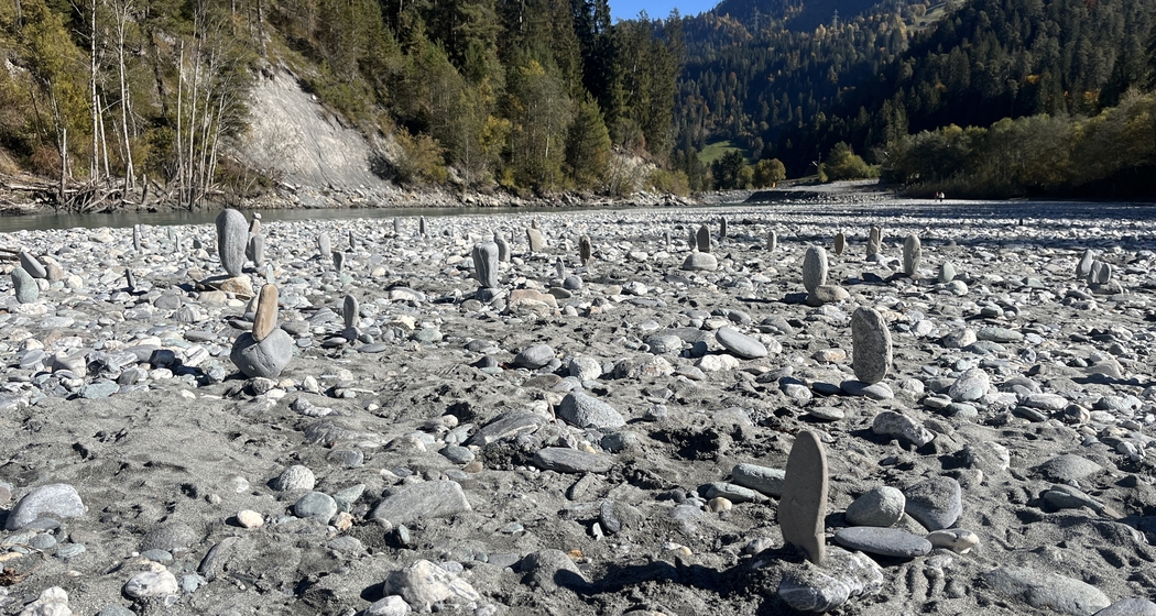 Exkursion Rheinschlucht: Nicht alles was glänzt ist Gold (gdl_913925418_image)