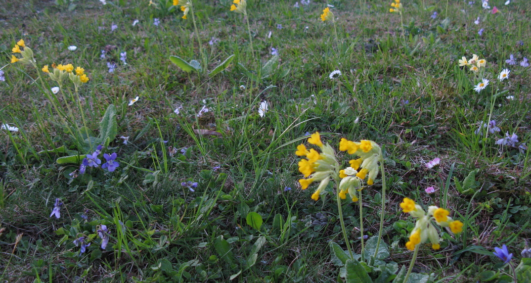 Senioren unterwegs (gdl_914401997_image)