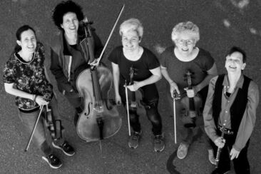 Quartettin+ Konzerte 2026 (gdl_914503782_image)