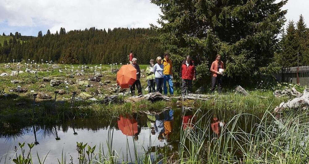 ArosaAkademie «Das Getreide, das nie eines war» (gdl_914595497_image)