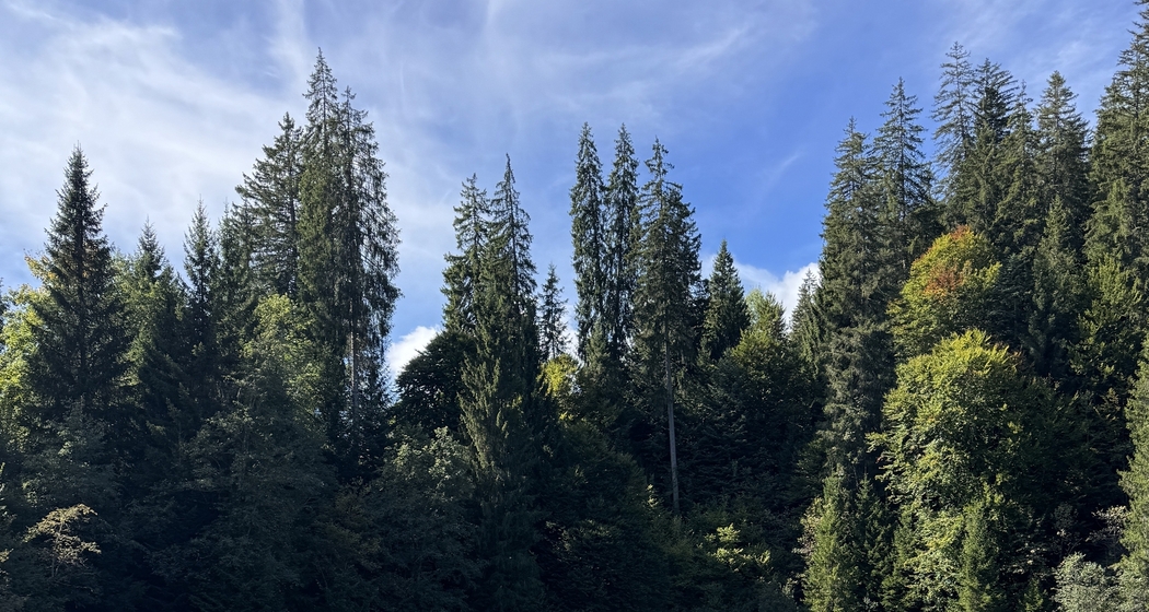 Unsichtbare Wasserwege (gdl_914937009_image)