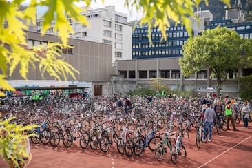 Herbstvelobörse - Velos kaufen und verkaufen (gdl_915544888_image)