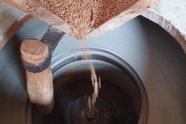 Führung im Muglin Mall (gdl_915825685_image)