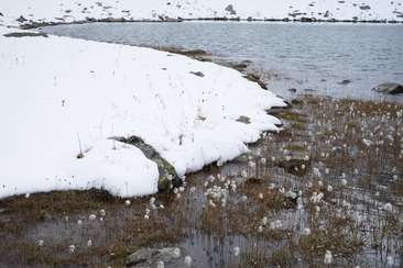 Gir d’Air (gdl_915842285_image)