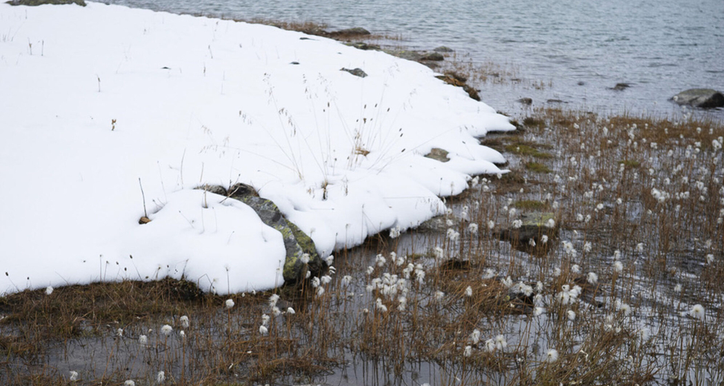 Gir d’Air (gdl_915842285_image)