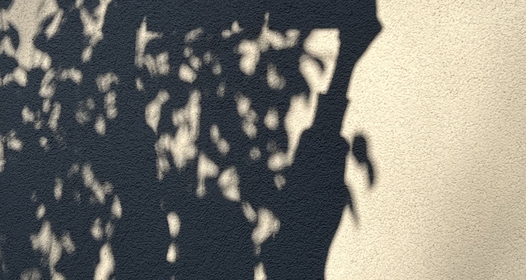 Wo ist der Lichtschalter? (gdl_915889635_image)