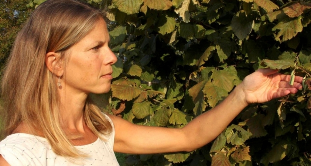 Selbsterziehung zur Gesundheit & Ökologie (gdl_916173134_image)