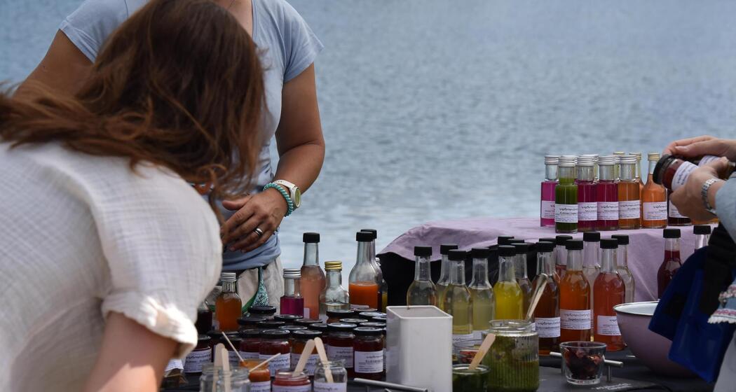 ArosaAkademie «Faserhanf aus den Schweizer Bergen» (gdl_916200599_image)