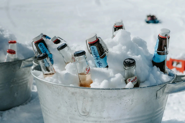 Viva Alp Dado in Waltensburg (gdl_916297895_image)