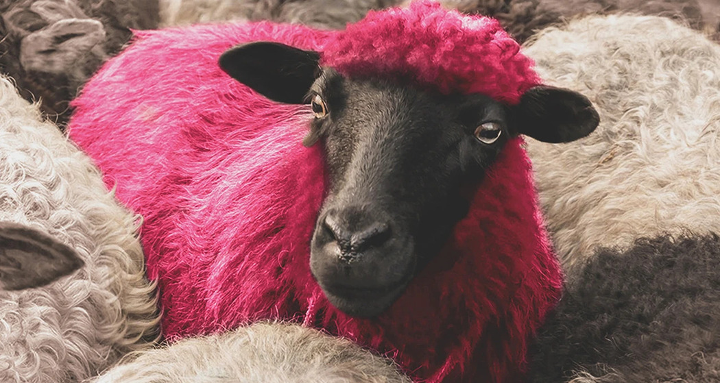 DJ Ahmet (gdl_916320909_image)