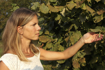 Selbsterziehung zur Gesundheit & Ökologie (gdl_917266135_image)