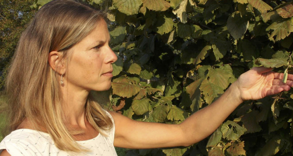 Selbsterziehung zur Gesundheit & Ökologie (gdl_917266135_image)