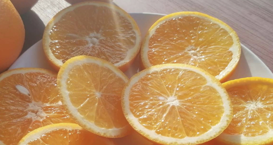 Selbsterziehung zur Gesundheit & Ökologie (gdl_917266136_image)