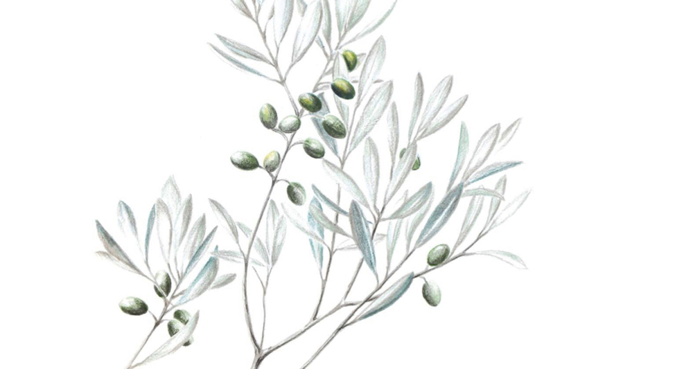 Selbsterziehung zur Gesundheit & Ökologie (gdl_917266137_image)