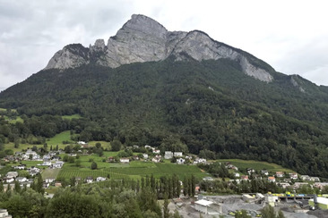 Grüne GEISS - der Umweltstammtisch (gdl_917299628_image)