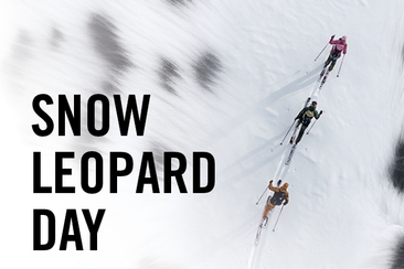 Snow Leopard Day (gdl_917390917_image)