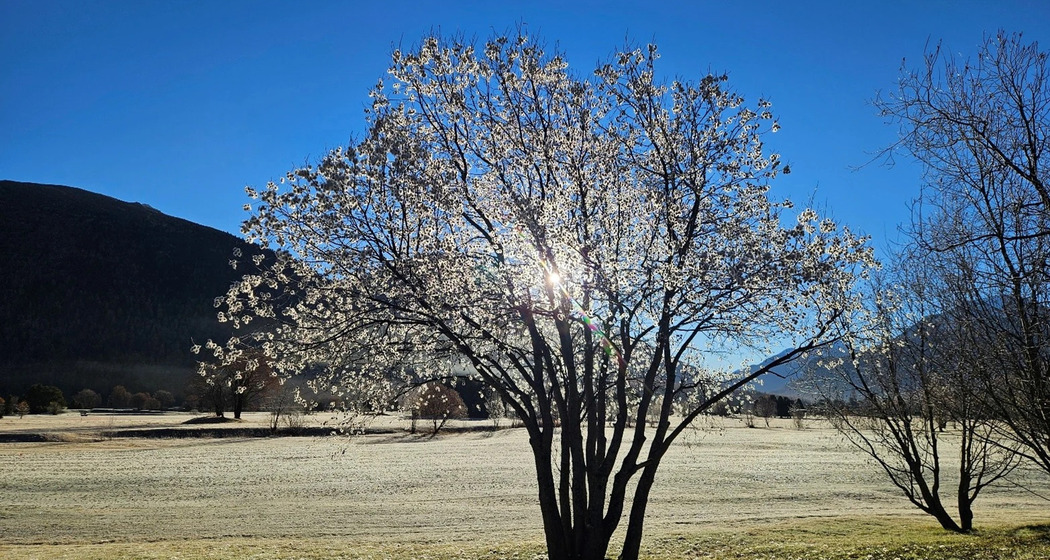 Die Kraftquelle (gdl_917451014_image)