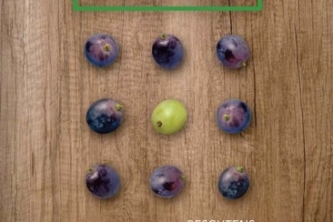 Porc des Alpes & Wagyu Beef (gdl_917587410_image)