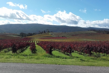 Zambujeiro meets Nova | Wine & Dine (gdl_917692211_image)