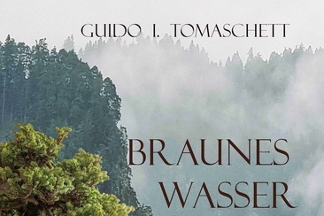 Guido I. Tomaschett: «Braunes Wasser» (gdl_917866066_image)