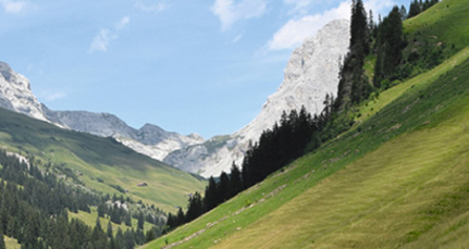 Martin Stihl: «Unterwegs im grünen Tal» (gdl_917866075_image)