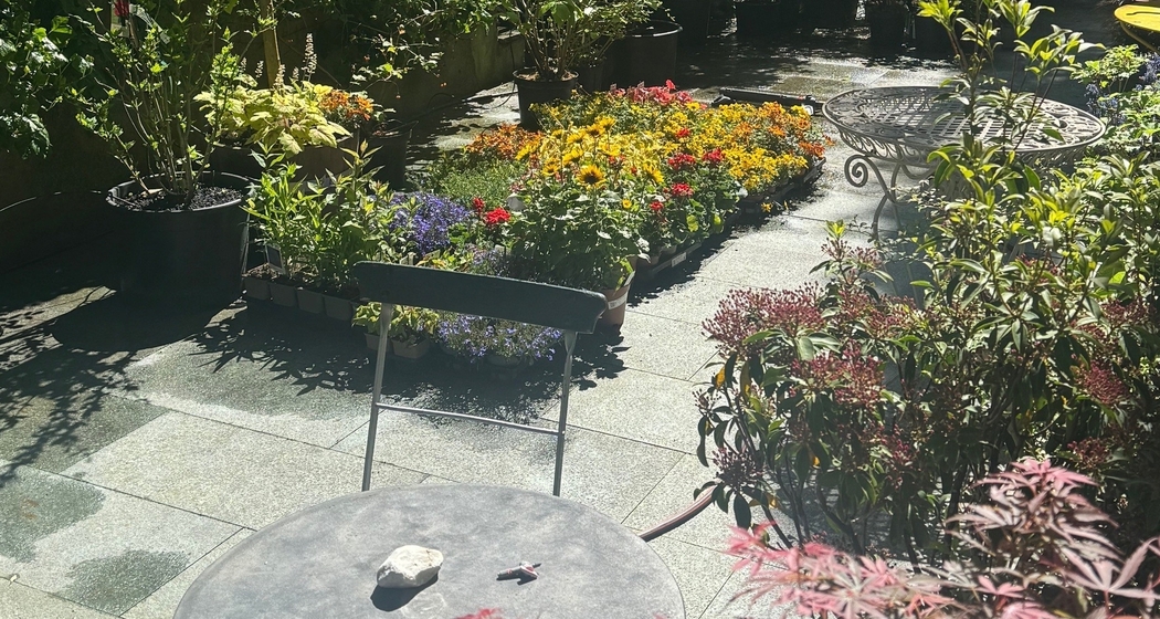 Gartenführungen Kurgarten Rothenbrunnen (gdl_918253777_image)