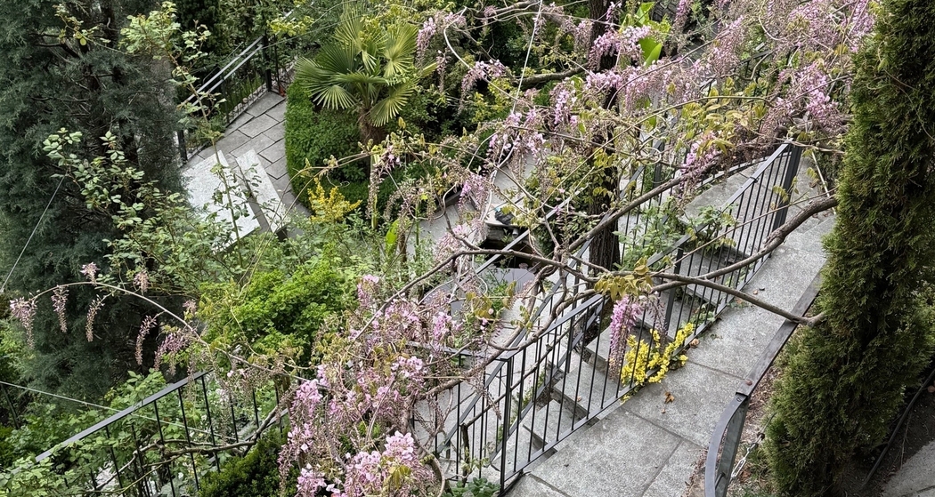 Gartenführungen Kurgarten Rothenbrunnen (gdl_918253778_image)