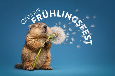 Big spring festival for everyone (gdl_918405793_image)