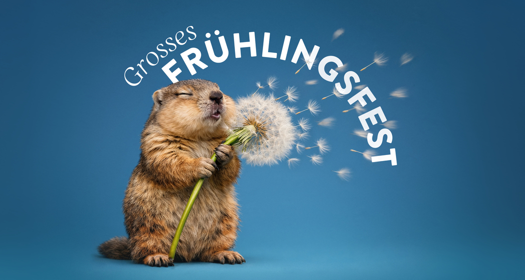 Grosses Frühlingsfest für alle (gdl_918405793_image)