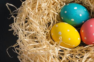 Osterschatzsuche in Bivio (gdl_918405828_image)